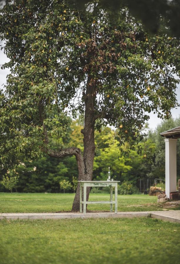 Nalunk, Videken - Cottage 54 Asvanyraro Dış mekan fotoğraf